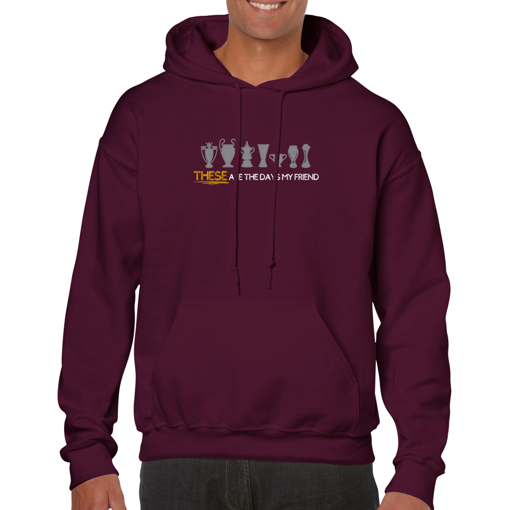 anfield-apparel-these-are-the-days-liverpool-hoodie-fleece image 3