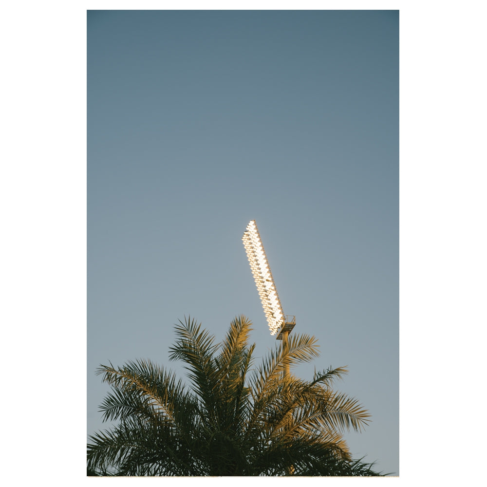 copa-glory-floodlights-palmtrees-t-shirt-wei-baumwolle image 3