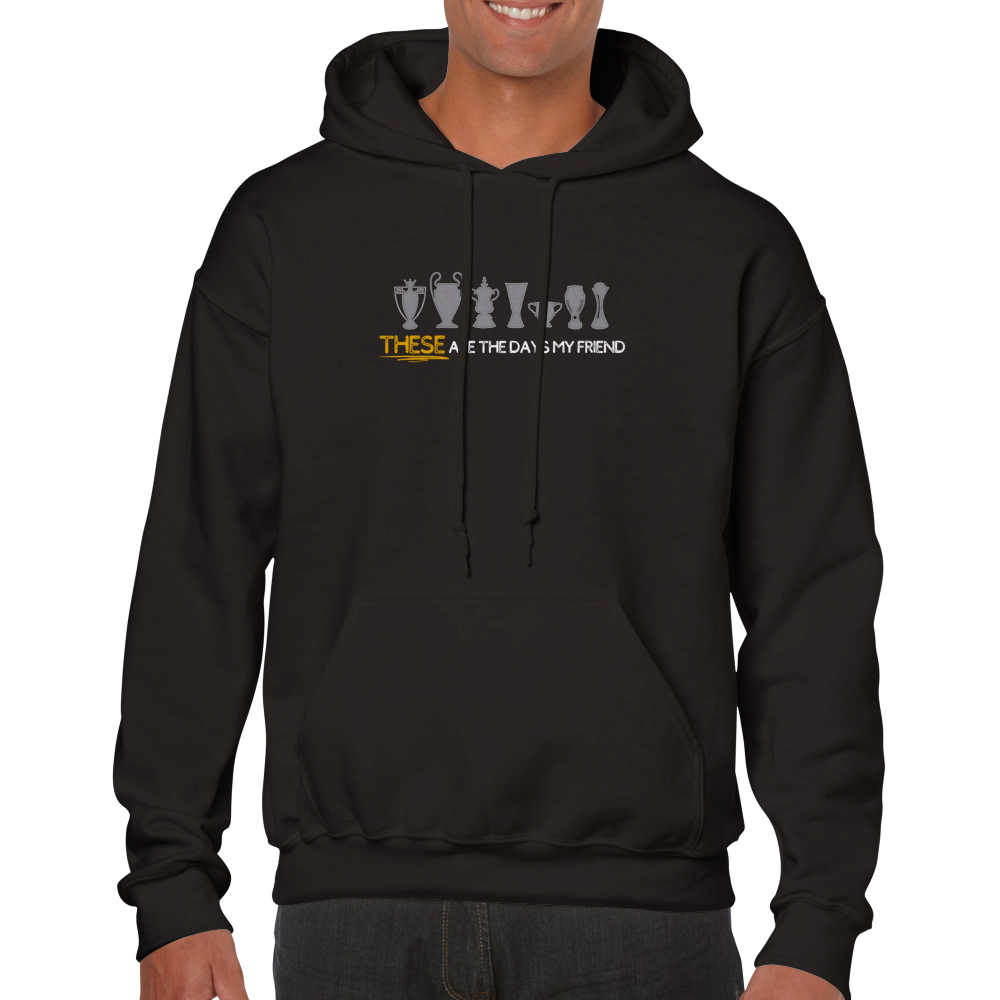 anfield-apparel-these-are-the-days-liverpool-hoodie-fleece image 4