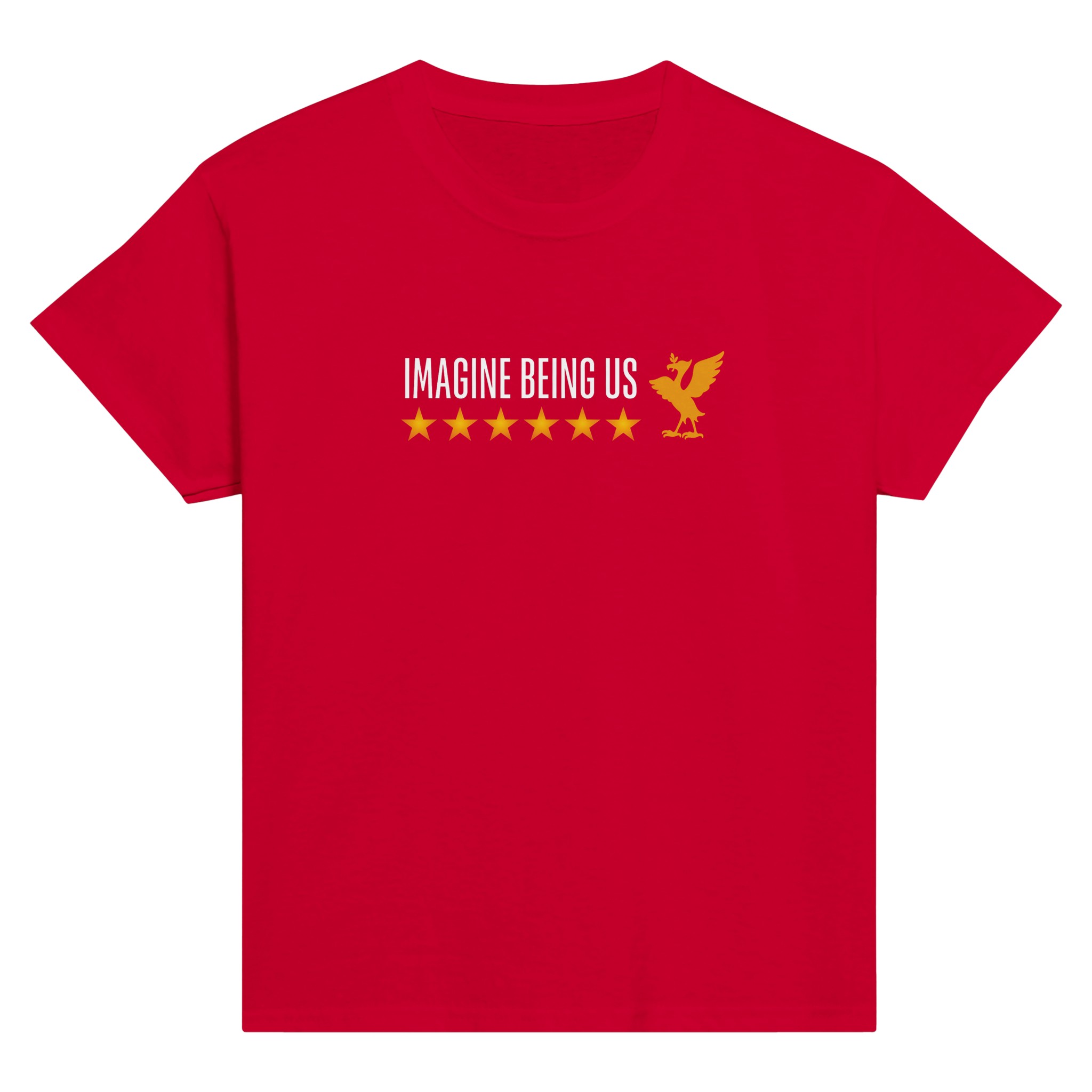 anfield-apparel-imagine-being-us-kinder-t-shirt-lfc-kids-baumwolle image 5