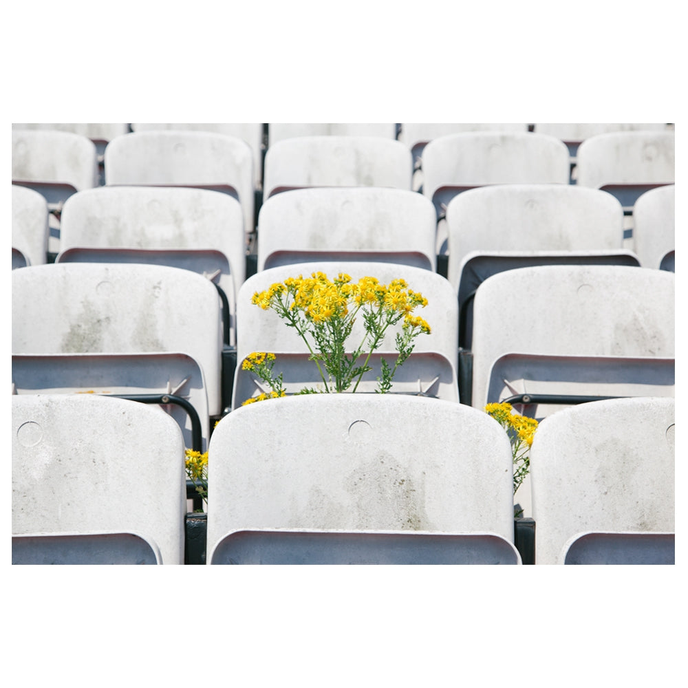 copa-glory-dalymount-park-t-shirt-wei-baumwolle image 2