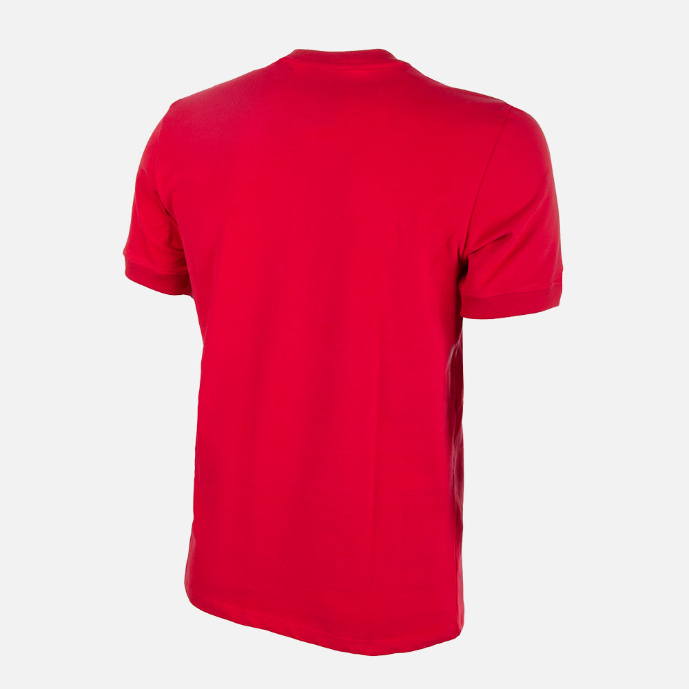 copa-classic-d-nemark-70s-retro-trikot-rot-baumwolle image 3