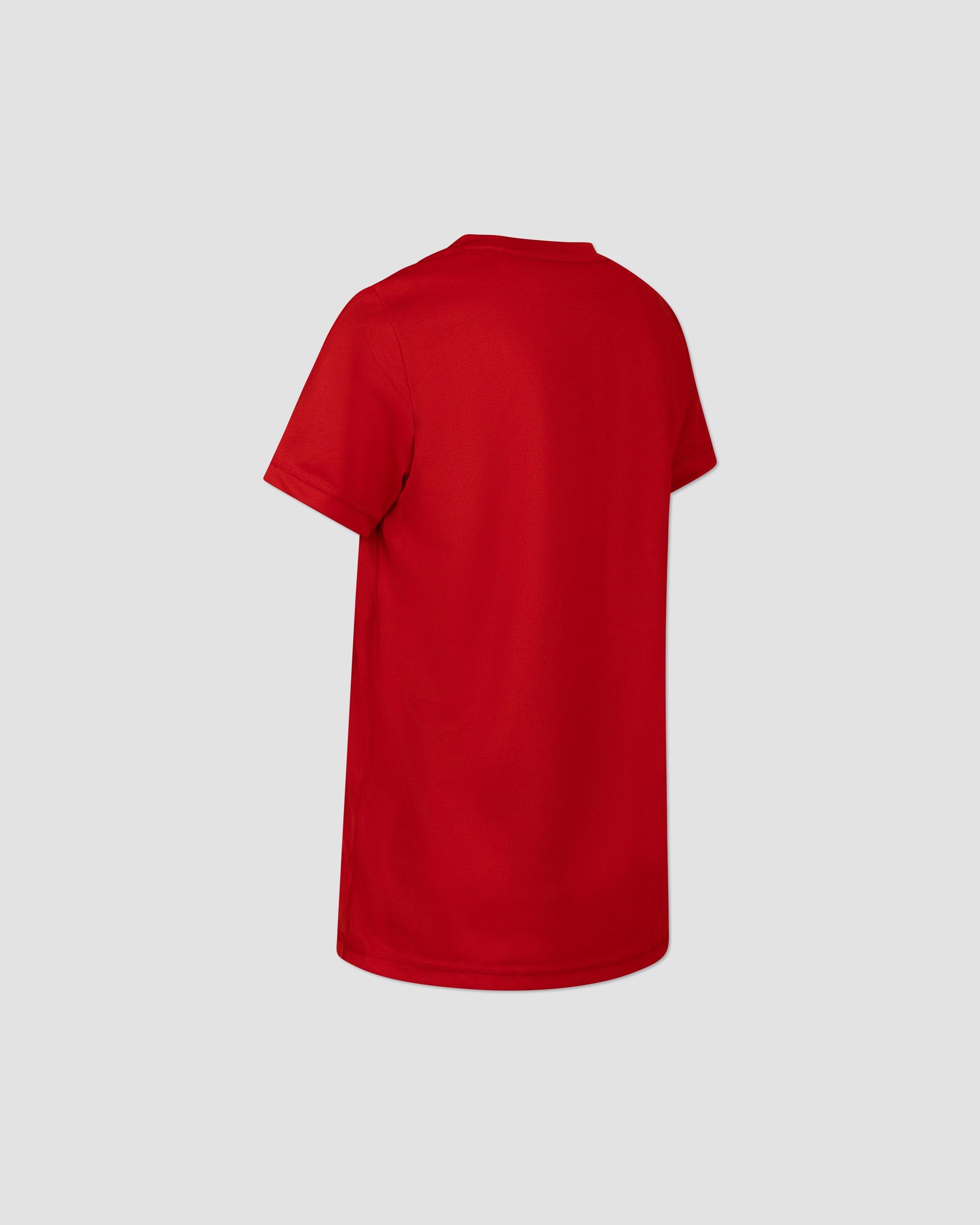 meyba-youth-apg-poly-crew-jersey-trikot-rot image 6